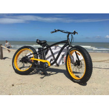 Very Famous and Popular Beach E Bike with 4.0/45inch Tyre